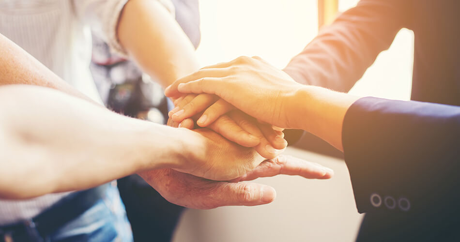 Apak Group team participating in a social responsibility and community support event